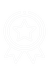 medal-icon